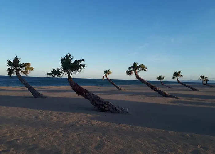 Confort En Front De Avec Acces Direct Daire Le Barcarès