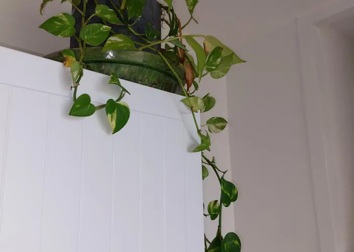 Daire Confort En Front De Avec Acces Direct