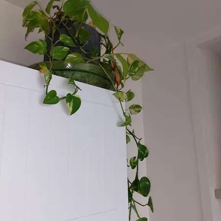 아파트 Confort En Front De Avec Acces Direct